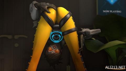 高成就的实 高成就的实