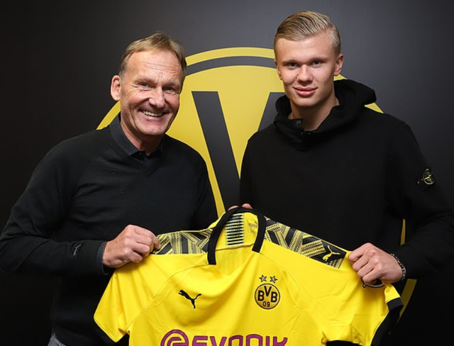 着新一轮强 着新一轮强